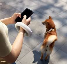 Aura Flex 360° – La Revolución del Paseo Urbano 🐾✨
